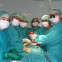 February 2012 ENT/Plastic Surgery